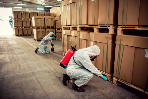 Best Affordable Pest Control Services  in Ridgewood, NJ