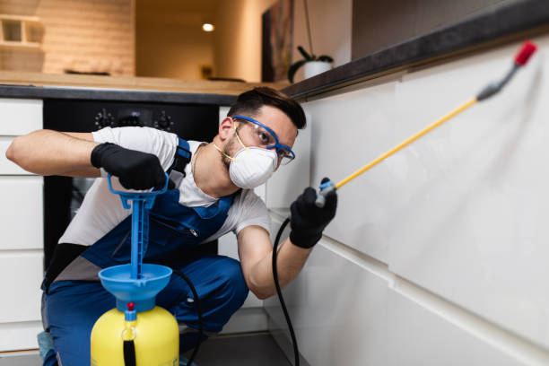 Best Termite Control Services  in Ridgewood, NJ