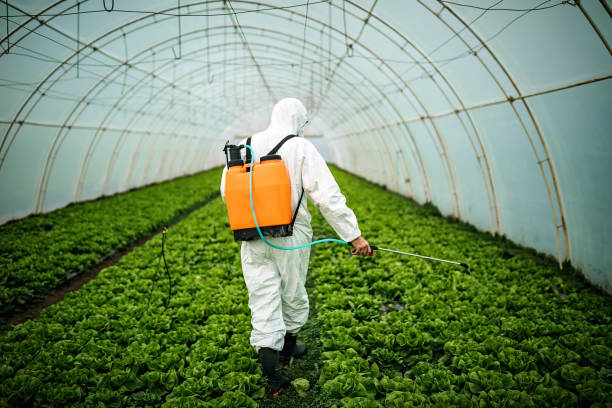 Best Mosquito Control Services  in Ridgewood, NJ