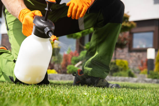 Best Pest Removal Services  in Ridgewood, NJ