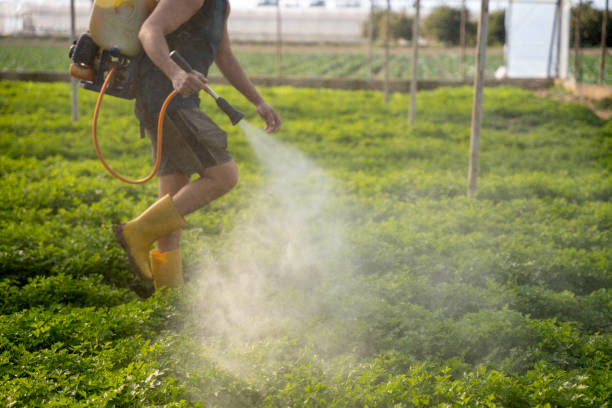 Best Pest Prevention Services  in Ridgewood, NJ