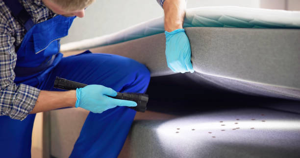 Best Rat Extermination Near Me  in Ridgewood, NJ