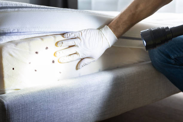 Best Wildlife Control Services  in Ridgewood, NJ