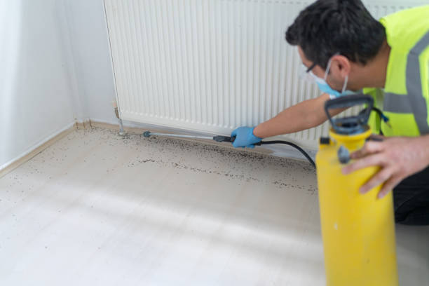 Best Pest Control Near Me  in Ridgewood, NJ